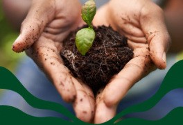 Cultive atitudes sustentáveis: Bahiana Verde realiza doação de compostos orgânicos nos campi